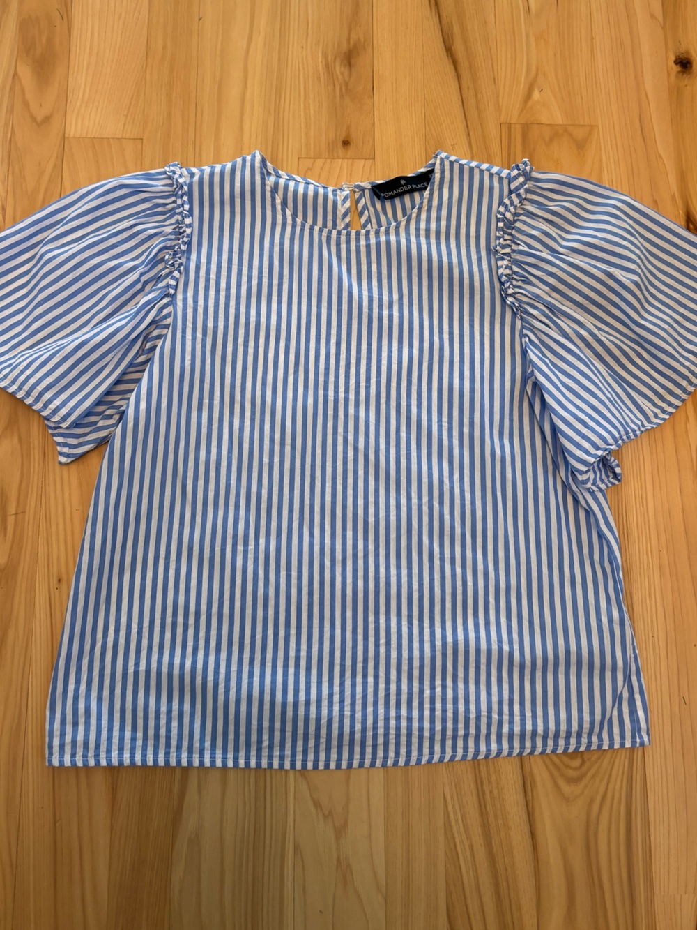 Pomander Place Blue Cotton Pleated Flutter Sleeve Blouse